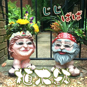 Aؔ j   ΂ 킢  K[f v^[  ؉ t[|bg K[f{bNX