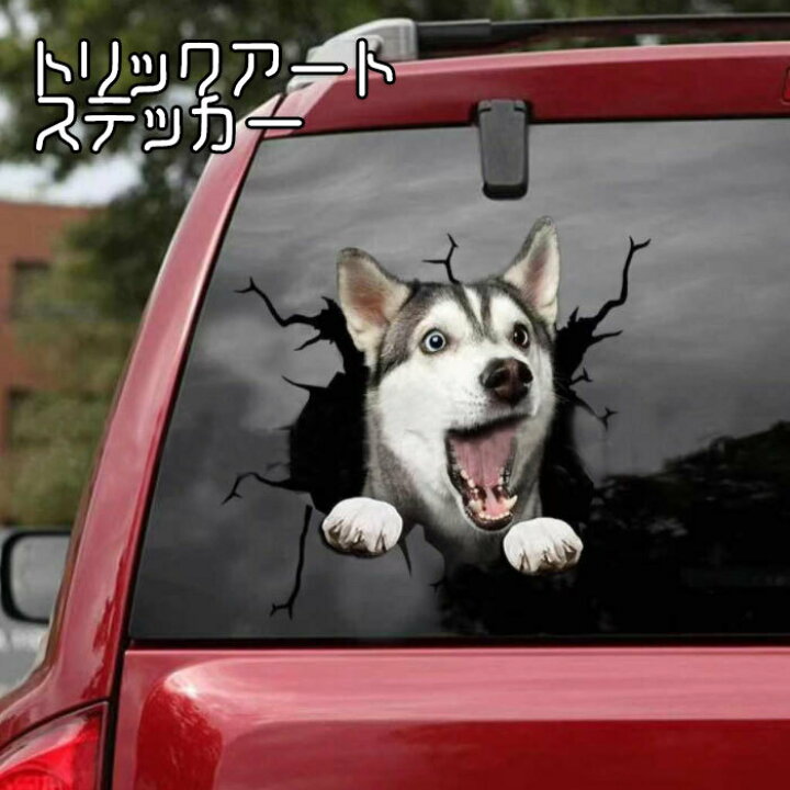 楽天市場 犬 いぬ ワンちゃん ステッカー トリックアート びっくり かわいい ジェントルブリーズ