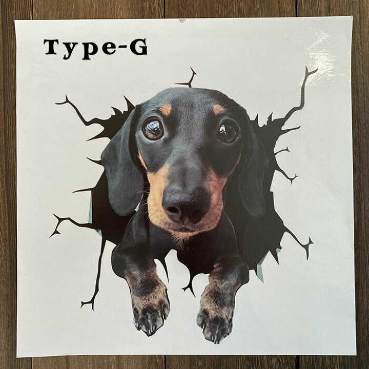 楽天市場 犬 いぬ ワンちゃん ステッカー トリックアート びっくり かわいい ジェントルブリーズ