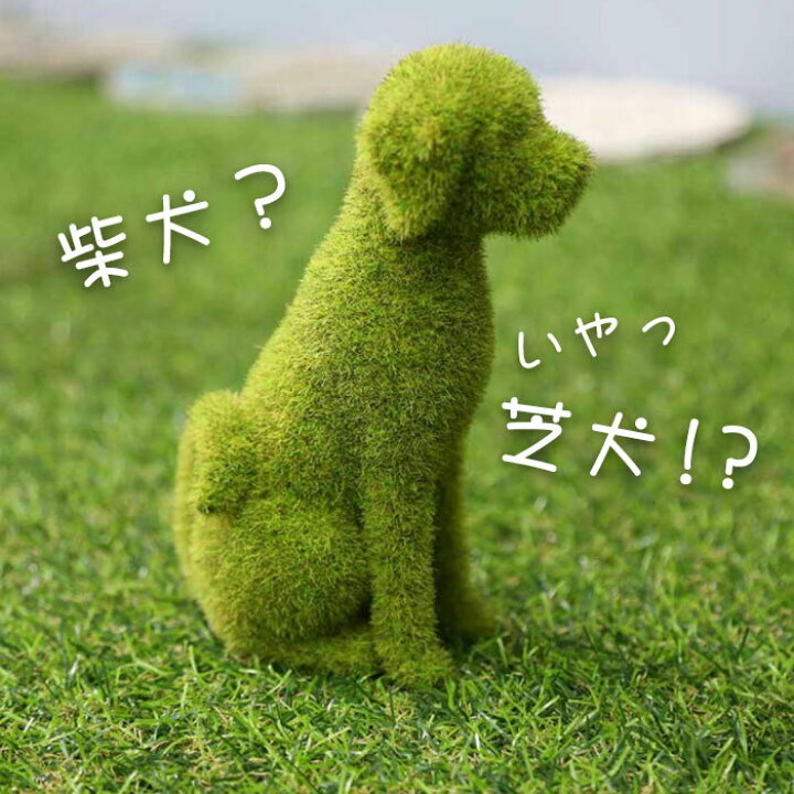 楽天市場 芝 芝生 犬 猫 うさぎ 置物 庭 ガーデン ガーデニング かわいい おしゃれ ジェントルブリーズ