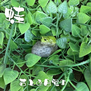 ^ JG  u CeA X   킢  Ώエڊo