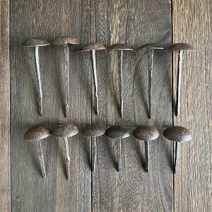 e e Â AeB[N 傫 X HX X ǂ tbN 2{Zbg