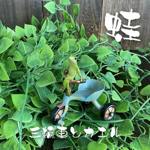 ^ JG  u CeA X   킢  O֎ԂƃJG