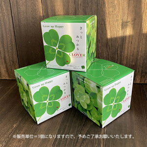 種 四つ葉のクローバーの人気商品 通販 価格比較 価格 Com