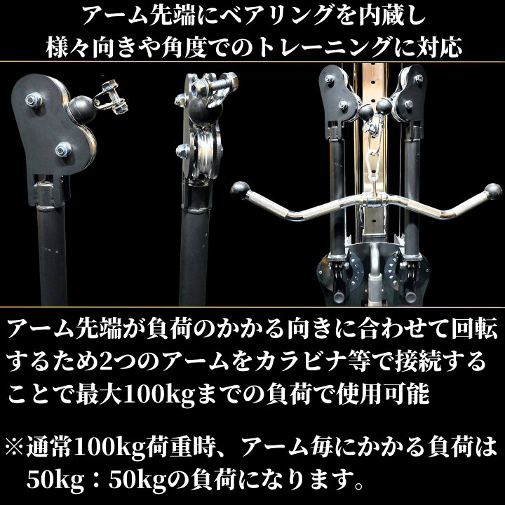 楽天市場】GFCコンパクトファンクショナルトレーナー 『プレートロード 