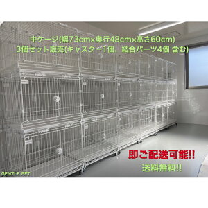 [ƖpEXܗp] 3Nȏ̔̔т!! Ki TCY 3Zbgtit(LX^[Ap[c) d˂ P[W  2i 3i }V g~OT ybgze  u