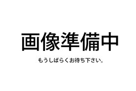 【保証付】【国内正規品】KINUJO　2WAY IRON カール＆ストレート へアイロン 26mm 2W01【年中無休　全国送料無料　最強翌日配送】【500円クーポン発行中】