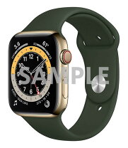 楽天市場】apple watch series 6 中古（カラーゴールド 
