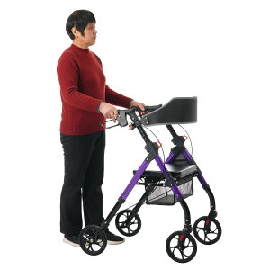 ŒZ Vo[J[ s⏕ s s Op 5iK ܂肽݉\ ʕt l LX^[t   U VjA s⏕  VbsOJ[ 