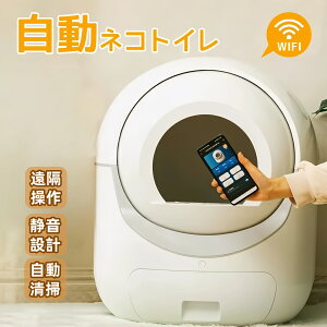 ŒZy2025NVdlzlRgC1 L gC LP[X Lp LgC  | dʃZT[ S  e  EL L | юUh~ X}z Av u