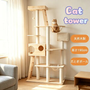 �L�^���[ �L���b�g�c���[ �ŒZ�������� ����190cm �ؐ� ���������Ή� �F���D�t�� �����u�� ������݌v �n�����b�N�t �܂Ƃ��|�[�� ��^�L�Ή� �ȃX�y�[�X �V���[�Y22 GEOGRACE