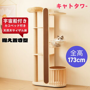 Lbg^[14 L^[ Lbgc[ X 173.5cm u lR^[ 艺肵₷ ܂Ƃ|[ ؐ  qL ^L ybgpi 