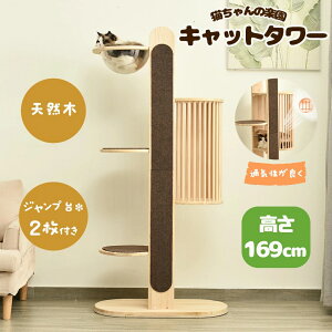 ŒZ Lbg^[ 18u^ ؐ FDt 169cm L^[ lR^[ B ܂Ƃ lR ^[   ^[ VR   ^L qL ^s