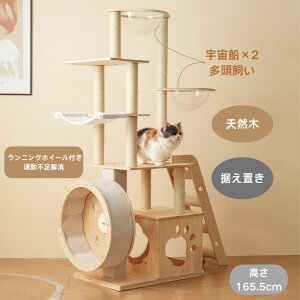 ŒZ Lbg^[ 19L^[ Lbgc[ u jOzC[t  FD lR^[ 165.5cm 艺肵₷ ܂Ƃ|[ ؐ  qL ^L 