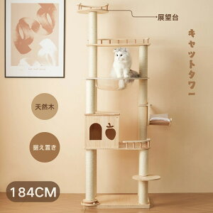 ŒZ Lbg^[20 L^[ Lbgc[ 184cm u  FD lR^[ 艺肵₷ ܂Ƃ|[ ؐ  qL ^L ybgpi 萫 