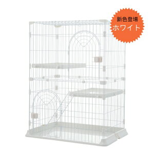 ŒZ L P[W 13LbgP[W 2i LQ[W  LbgnEX lR nEX i  ی Eh~ ybgP[W  X`[