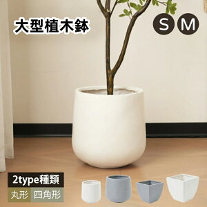 �����Z�[���i�[�ŒZ�������� �A�ؔ� ������� ��^�A�ؔ� �y�� S �`Msize ���J�o�[ �ϗt�A�� �� �y�� �󂯎M ��M �� ���O�p �����p ���J�o�[ �O�����s���O ���X�g���� �A�� �K�[�f�� �v���[��