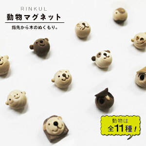 }Olbg (kɂ Ђ 炵 yM u^ g) ؐ  ؐ  [  킢 j  Z w v[g v`Mtg i FB LOi 搶 j