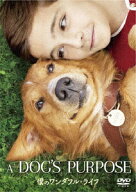 【中古】僕のワンダフル・ライフ 【DVD】／ジョシュ・ギャッドDVD／洋画コメディ