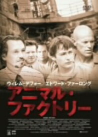 【中古】アニマル・ファクトリー 【DVD】／エドワード・ファーロングDVD／洋画ドラマ