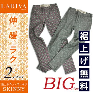 yZ[^30%OFFzfB[o LADIVA BODY FIRE {fBt@CAi傫TCYjMXpc /g/fB[X SR110W-2015-BIG 吡TCY rbOTCY yEDWINz