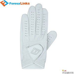 y2܂Ń[֔\zForesa LinkitH[TNjV[vXLO[u zCgtBbg p