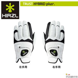 y2܂Ń[֔\zHIRZLin[cFjgXgnCubgvX@p/Ep