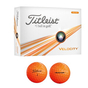 ^CgXg 2024 VELOCITYixVeBj@zCg/IW/O[iX[u/_[Xj