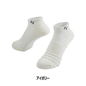 ZEROFITi[tBbgjA`oNeA\bNX V[g 2Zbg 25`27cm ubN^AC{[^O[