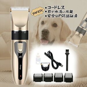 ő2000~OFFN[|LXɃ|CgUP ybgpoJ poJ g~O 9_Zbg Z~bN`^n pւnt  SgJbgp Jbg 荂\ 