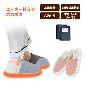 dCXbp  dMXbp 10bM 4000mAh×2 oCobe[t@tbgEH[}[ q[^[ Xbp 3iKx usb[d R[hX 􂦂 ~ g q[