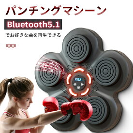 ボクシング マシン 音楽 パンチングマシーン グローブ付き 壁掛け式 音楽再生 ミュージック Bluetooth LED ライト付き USB充電 スマート 電子 格闘技 スポーツ ダイエット ストレス解消 発散 子供 大人 男性 女性 室内 家庭用 初心者 日本語説明書