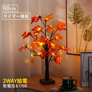 ő2000~OFFN[|LXɃ|CgUP nEB u`Cg 60cm 2WAY USBd dr ^C}[ ؖ  gt w[[ibc  LED u`c[ C~l[V ԐڏƖ 