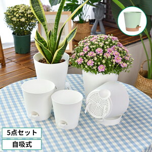 最大2000円OFFクーポン有更にポイントUP 植木鉢 自動給水 5点セット 鉢 受け皿付き 自吸式 水やり プラスチック 軽い 軽量 ナチュラル 観葉植物 屋内 室内 店舗 多肉植物 ガーデニング用品 観葉