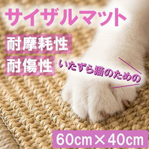 壁紙 爪とぎ 防止 ペットの通販 価格比較 価格 Com