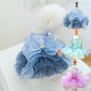 �� �� �h���X ���^�� ���� ���̎q �E�F�f�B���O ���X �� �����s�[�X �`���[�� ���{�� �t�H�[�}�� �p�[�e�B�[ ������ �L�O�� �a���� �B�e�p �g�C�v�[�h�� �r�V���� �`���� �u���[ �O���[�� �p