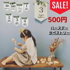 【LINEで100円オフ】誕生日 タペストリー ハーフバースデー 30日 30 1/2 1歳 2歳 3歳 4歳 飾り付け 飾り フォト バースデーフォト パーティー フラグ お食い初め セレモニー 家族写真 ウォールデコ おしゃれ かわいい グリーン