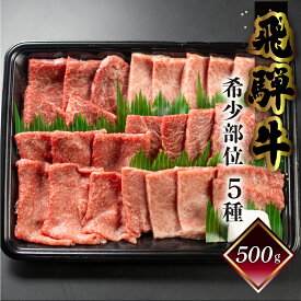 飛騨牛 希少部位 5種 焼肉 盛り合わせ 菊の井 計500g 各100g 冷凍 下呂市 送料無料 ［北海道・沖縄・離島は別途送料あり］