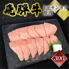 飛騨牛 トモサンカク 焼肉 菊の井 300g/500g 冷凍 下呂市 送料無料 ［北海道・沖縄・離島は別途送料あり］