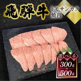 飛騨牛 トモサンカク 焼肉 菊の井 300g/500g 冷凍 下呂市 送料無料 ［北海道・沖縄・離島は別途送料あり］