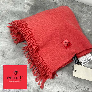 y erfurt z Gtg 唻Xg[ E890012 }t[ Xg[ 2024 ~ f}[N CO C|[g IW sN  E[ ꂢ JWA ZNgVbv pV[^[ K