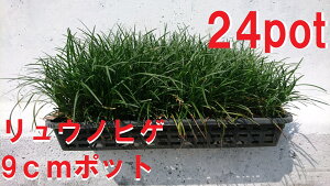 EmqQ@̕E@̃qQ@イ̂Ђ 24|bgZbg@΂O~@aQȂĂ₷@c @G\h