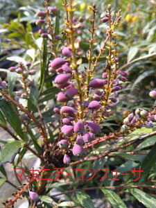 }zjA@Rt[T @唫y18cmpotz4|bgZbg@חtAV@z\oqCMie@Fԁ@Rogu[̎@c