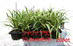 tCu@20|bgZbg@Aɂ@VF[hK[fɂ@@T}[XJ@c@K[fjO@񂹐A