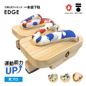 yGETALABOzEXPO2025 EDGE (GbW)@{ʁ^t[TCY(22`28.0cm)^J[(S4F)^Ώې(YEfB[XELbY) ăMtg fBAЉi