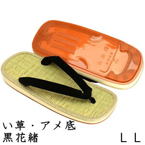  Y fB[X \ A ԏ LLTCY   ݕ\ COT 䑐 ɂ ɂȂ T_