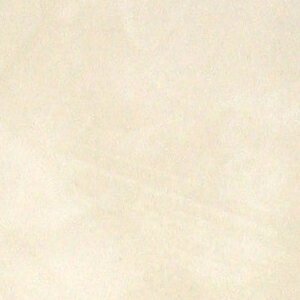 REATEC AebN@SܕtσtB@TC-4569