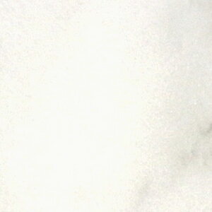 REATEC AebN@SܕtσtB@Ζځ@TC-4577