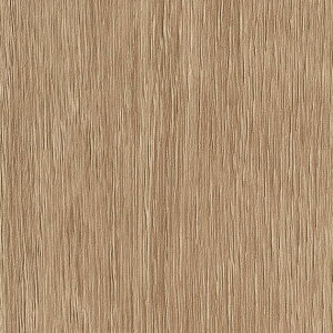 REATEC AebN@SܕtσtB@ؖځ@x[VbNEbh@BC-5462