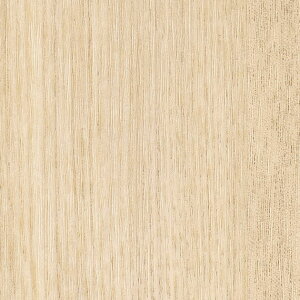 REATEC AebN@SܕtσtB@ό@ Ebh@ؖځ@TCE-5065